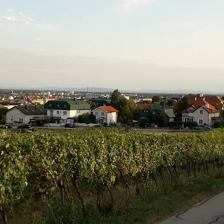 Charmantes Mit Terrasse Zum Garten Nahe Wien Appartement